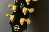 Epiphone Limited Edition Joe Bonamassa ES-355-10.jpg